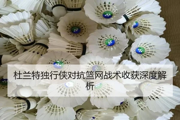 杜兰特独行侠对抗篮网战术收获深度解析